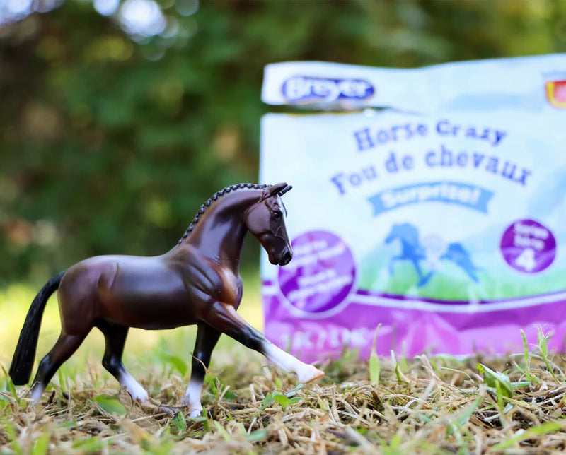 Load image into Gallery viewer, Breyer Horse Crazy Surprise Blind Bag
