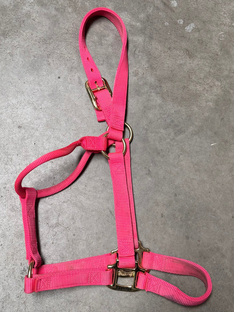 Load image into Gallery viewer, Used/New Weaver Nylon Halter - Hot Pink
