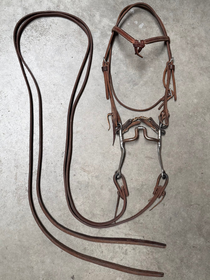Load image into Gallery viewer, Used Bridle Set - Futurity Browband, USA Mylers Medium Wide Ported Barrel Bit, Split Reins
