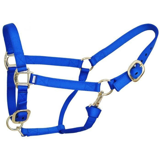Reinsman Deluxe Nylon Halter Weanling Royal Blue