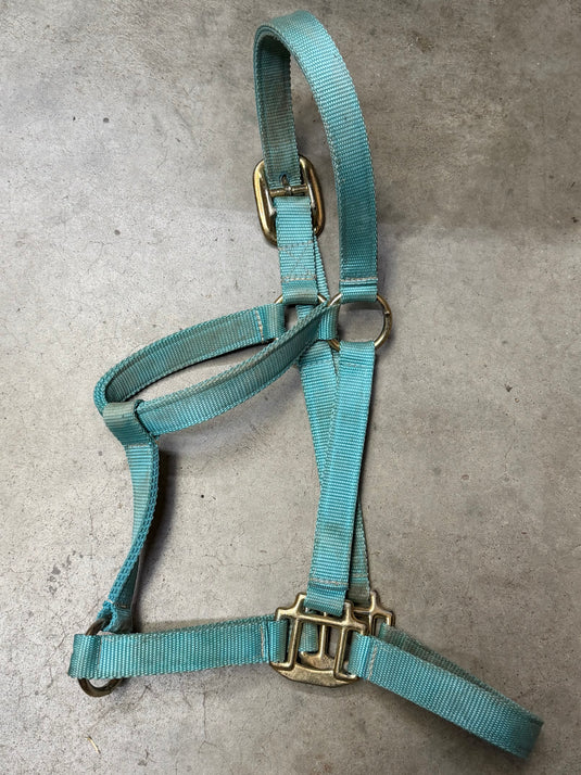 Used Nylon Halter - Turquoise - Avg