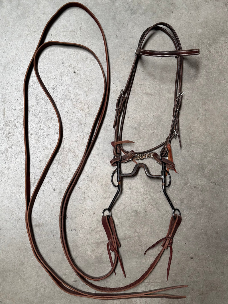 Load image into Gallery viewer, Used Bridle Set - Clinton Anderson Browband, Solid Port Bit, Split Reins

