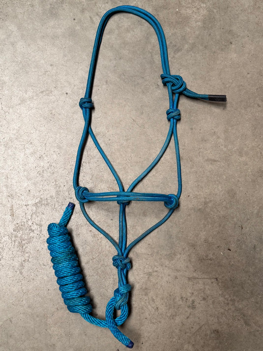 Used Rope Halter & Lead - Blue