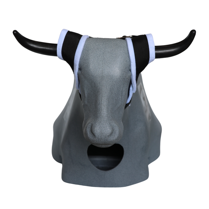 Load image into Gallery viewer, Smarty Rodeo | Bones
