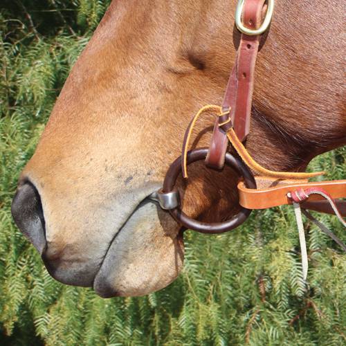 Load image into Gallery viewer, Professional's Choice Bob Avila O-Ring Copper Twist Ring Snaffle Bit
