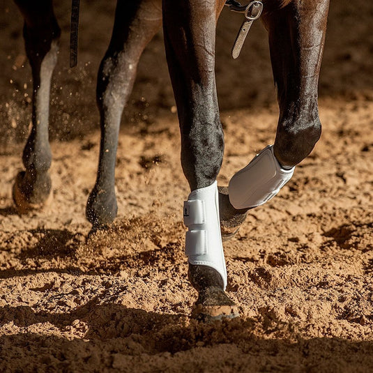 Classic Equine AirWave Classic Splint