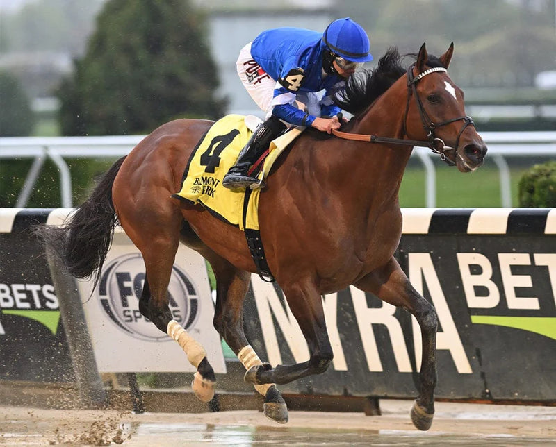 Load image into Gallery viewer, Breyer Cody's Wish
