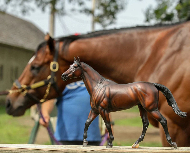 Load image into Gallery viewer, Breyer Cody's Wish
