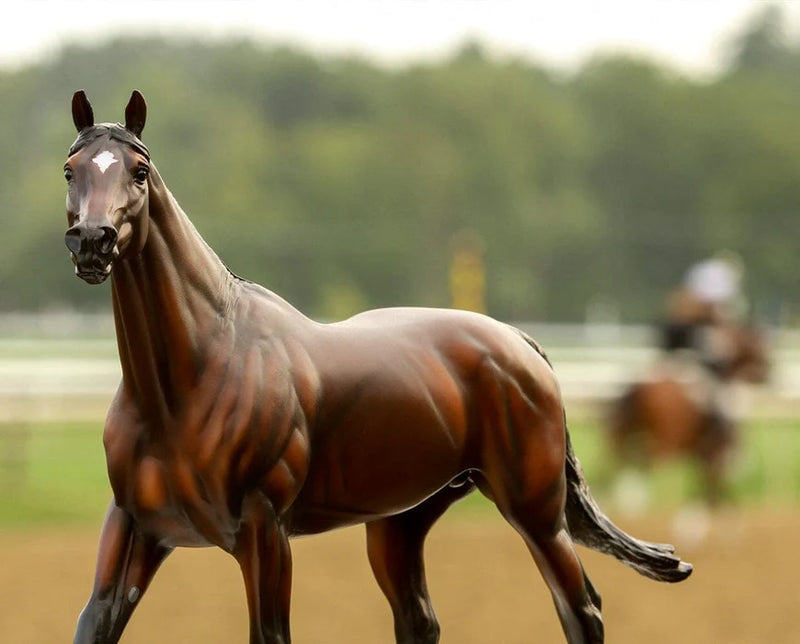 Load image into Gallery viewer, Breyer Cody's Wish
