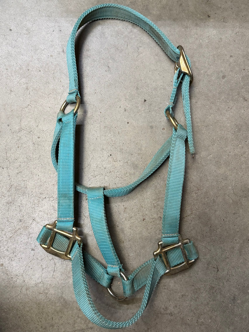 Load image into Gallery viewer, Used Nylon Halter - Turquoise - Avg
