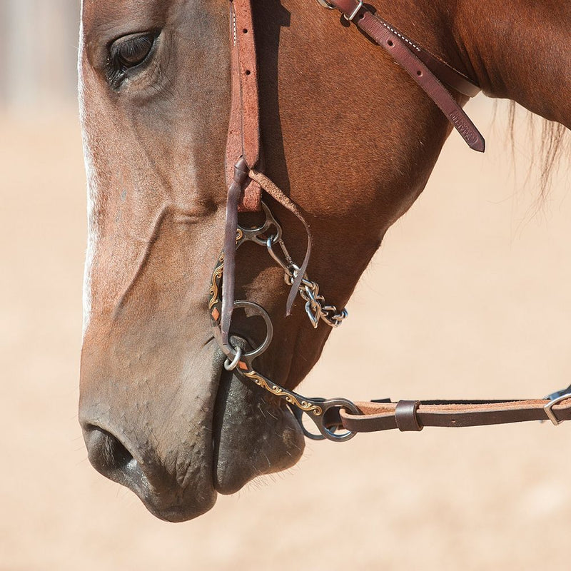 Load image into Gallery viewer, Classic Equine Sherry Cervi Stainless Steel Diamond Long Shank II Twisted Wire Dogbone Bit
