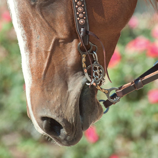 Classic Equine Sherry Cervi Browned Iron Diamond Short Shank O-Ring Square Snaffle Bit