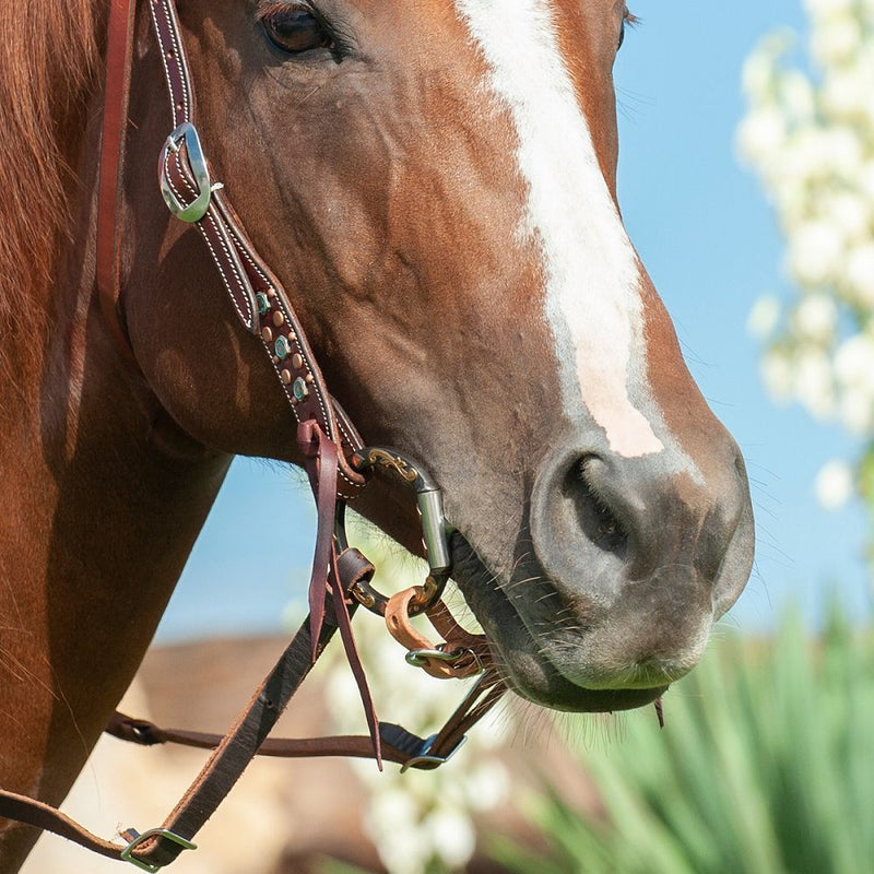 Load image into Gallery viewer, Classic Equine Sherry Cervi Stainless Steel Diamond Dee Ring Square Snaffle Bit
