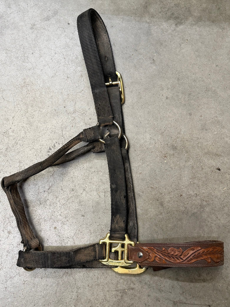 Load image into Gallery viewer, Used Nylon Halter w/ Leather Tooled Nose - Black - Avg
