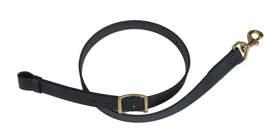 Berlin Beta Biothane Tie Down Strap - 1"x40"