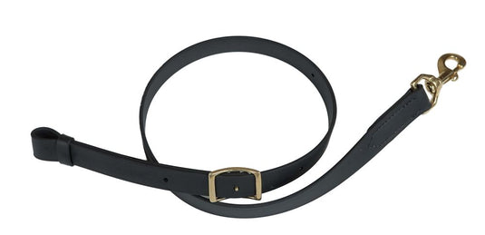 Berlin Beta Biothane Tie Down Strap - 1"x40"