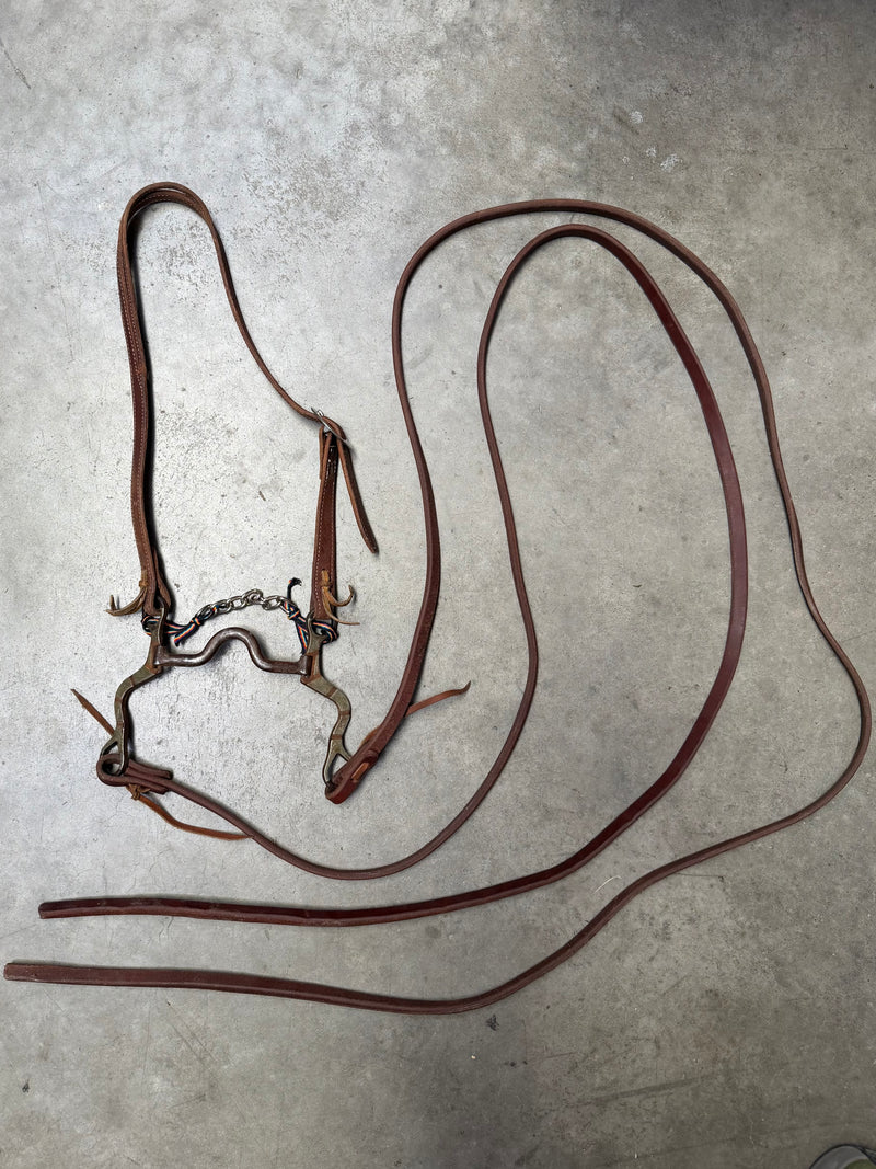 Load image into Gallery viewer, Used Slit Ear Headstall, W.J. Swerczek Bit, Cowperson Tack Weighted End Split Reins
