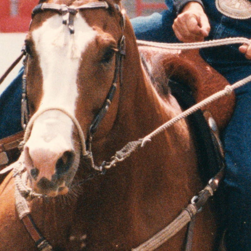 Load image into Gallery viewer, Classic Equine Short Shank Bozo Sidepull - 6" Shank
