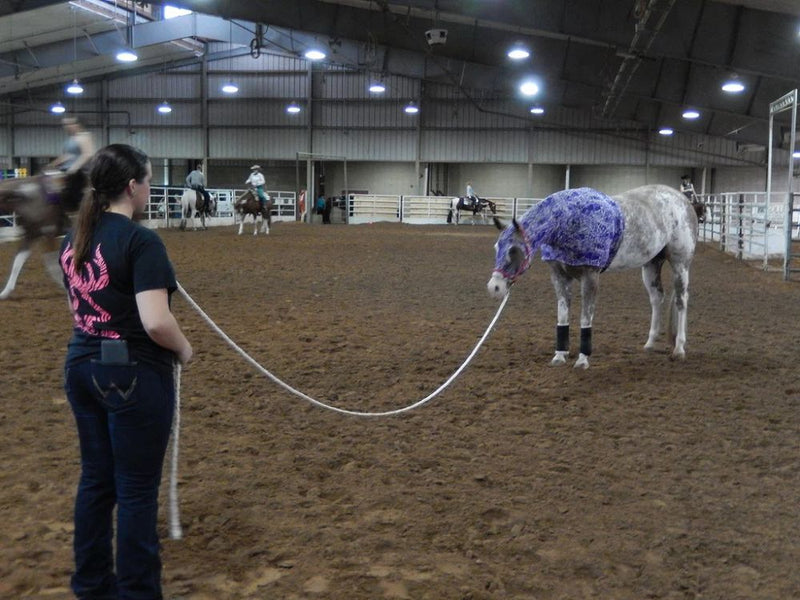 Load image into Gallery viewer, Brute Lunge Line 1/2" X 15'
