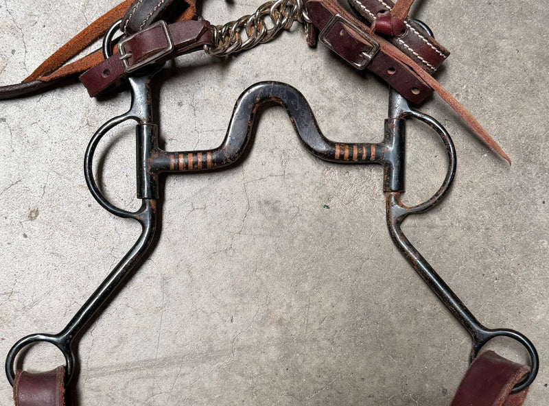 Load image into Gallery viewer, Used Bridle Set - Clinton Anderson Browband, Solid Port Bit, Split Reins
