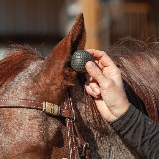 Classic Equine Round Foam Ear Plugs