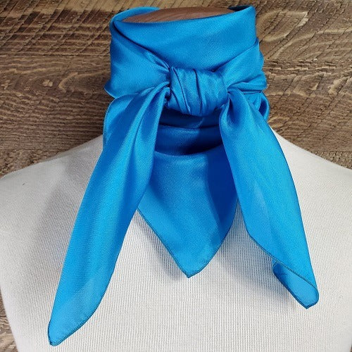 Load image into Gallery viewer, Light Weight Habotai Solid Wild Rag - 36"x36"
