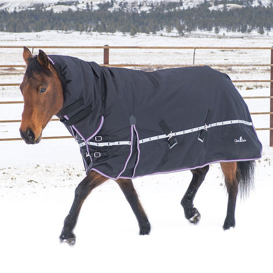 Classic Equine 10K Hooded Cross Trainer Blanket