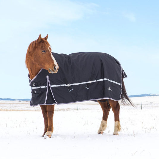 Classic Equine 10K Standard Cross Trainer Blanket