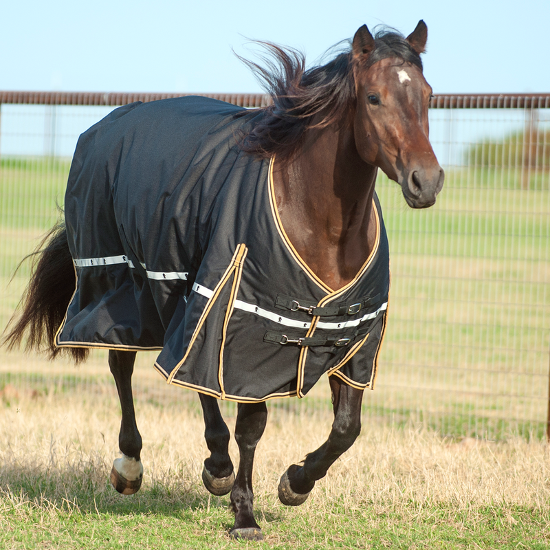 Load image into Gallery viewer, Classic Equine 5K Standard Cross Trainer Blanket
