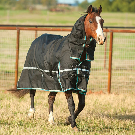 Classic Equine Hooded Windbreaker Turnout