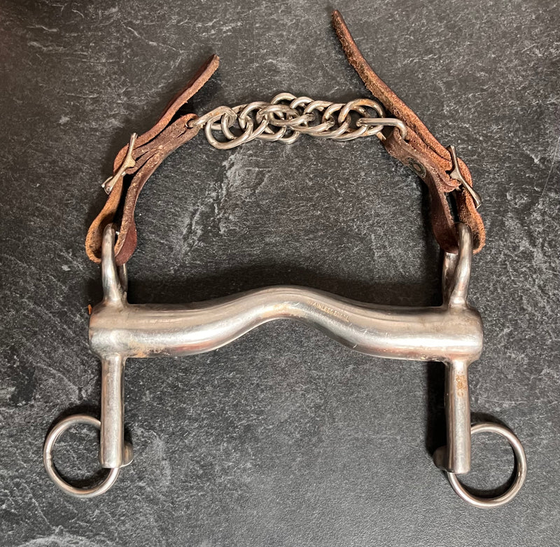 Load image into Gallery viewer, Used Stainless Steel English Bit &amp; Curb
