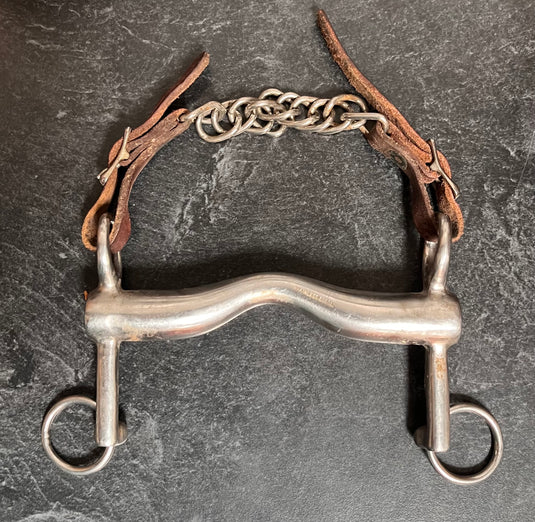 Used Stainless Steel English Bit & Curb