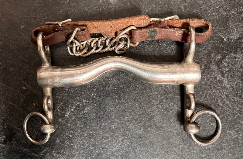Load image into Gallery viewer, Used Stainless Steel English Bit &amp; Curb

