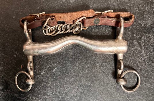 Used Stainless Steel English Bit & Curb