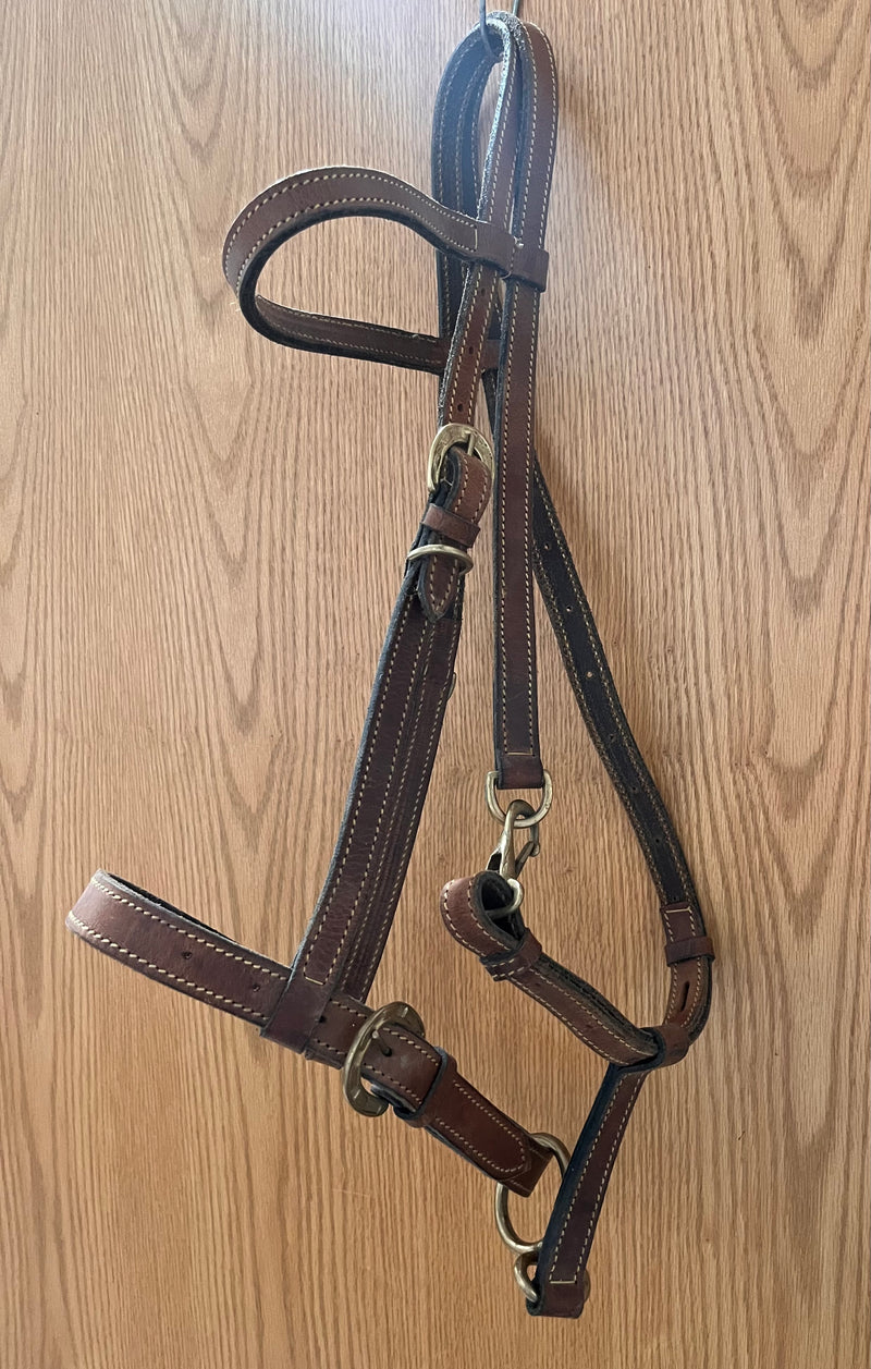 Load image into Gallery viewer, Used Leather Halter
