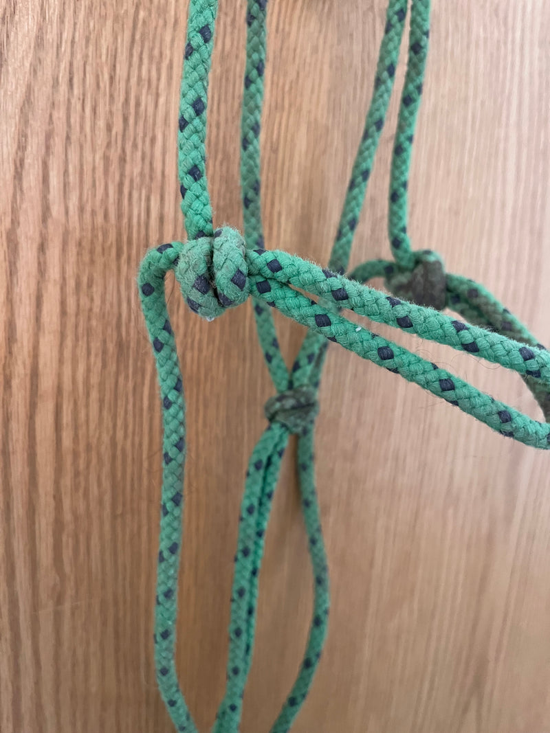 Load image into Gallery viewer, Used Rope Halter - Green/Purple
