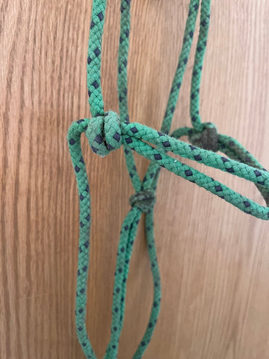 Used Rope Halter - Green/Purple