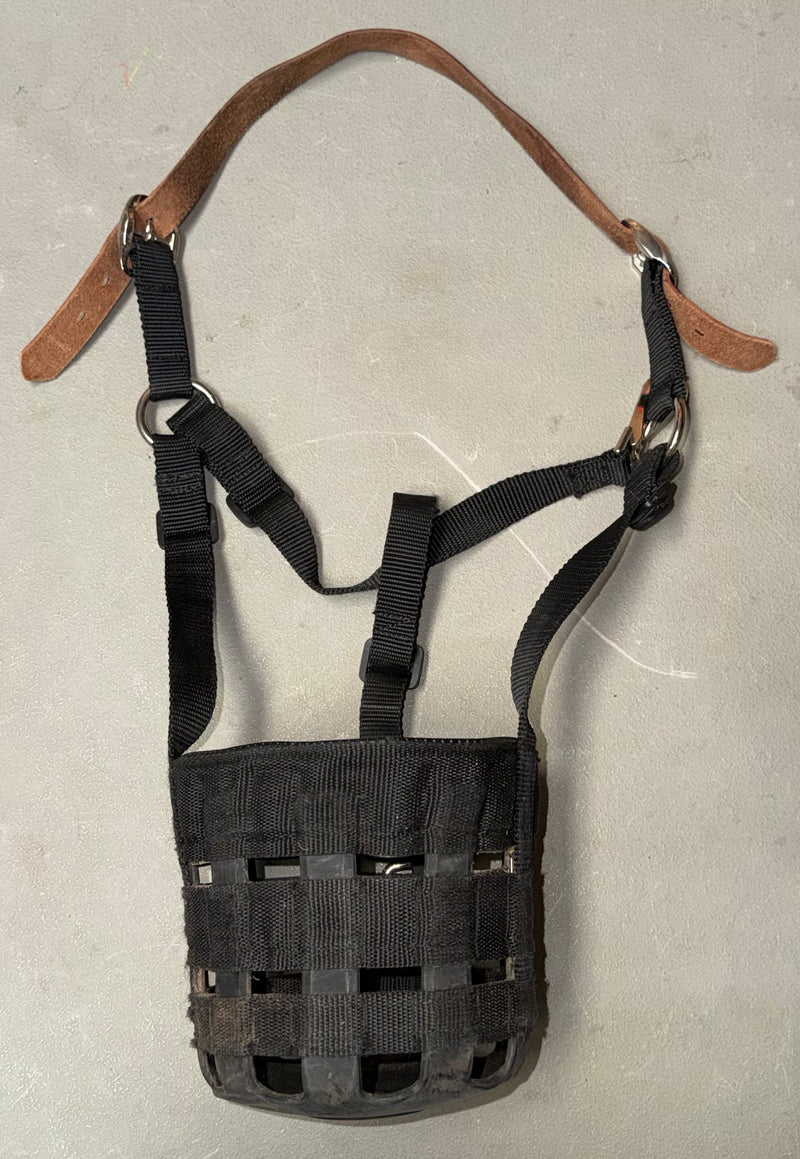 Load image into Gallery viewer, Used Grazing Muzzle - Medium
