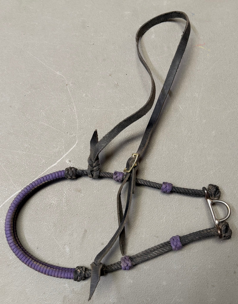 Load image into Gallery viewer, Used Braided Nose Double Rope Noseband - Black/Purple
