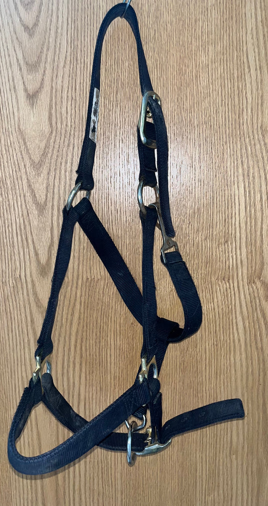 Used Weaver Nylon Horse Halter - Black