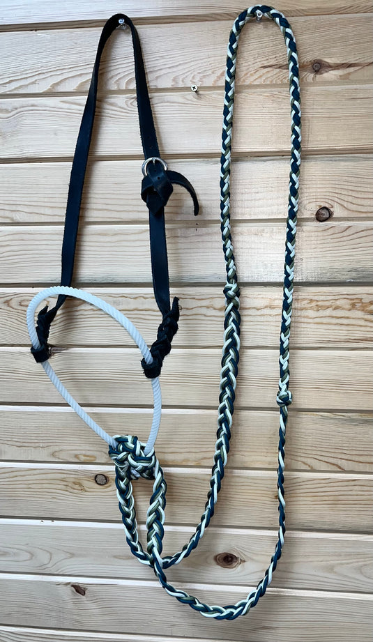BHB Loping Hackamore with Braided Rein - White/Teal/Green