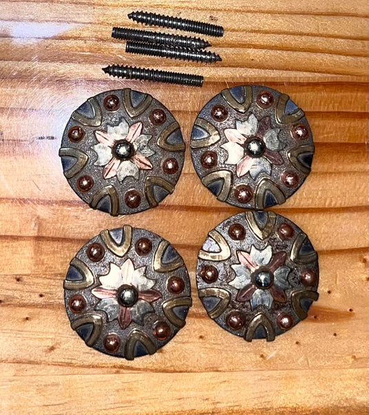 Used Set of 4 Conchos & Wood Screws