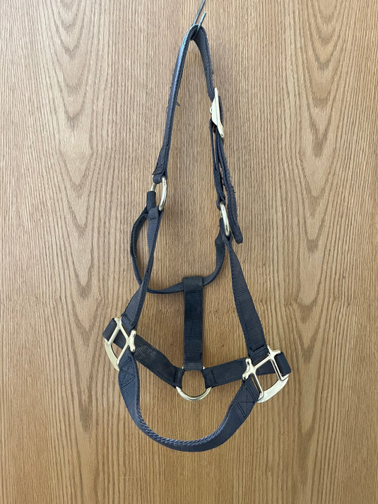 Used Small Nylon Halter - Gray