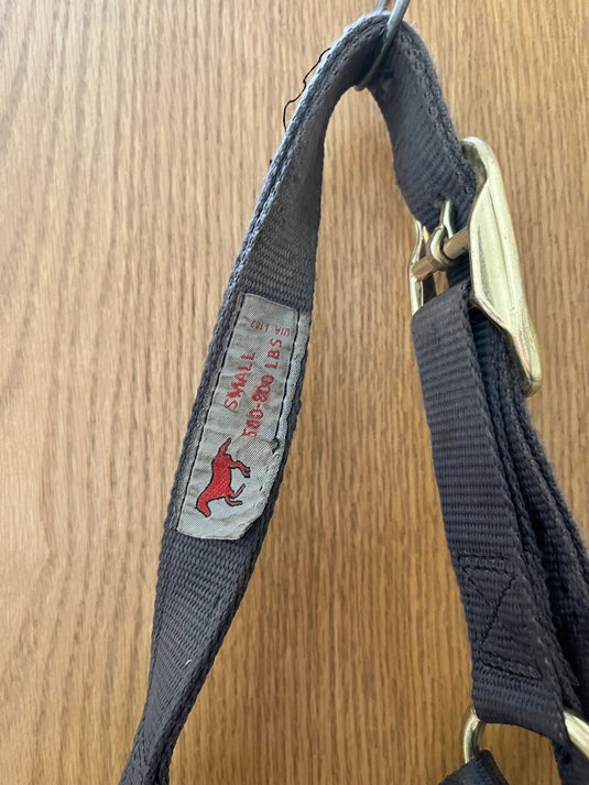 Used Small Nylon Halter - Gray