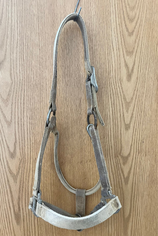 Used Nylon Halter - Yellow