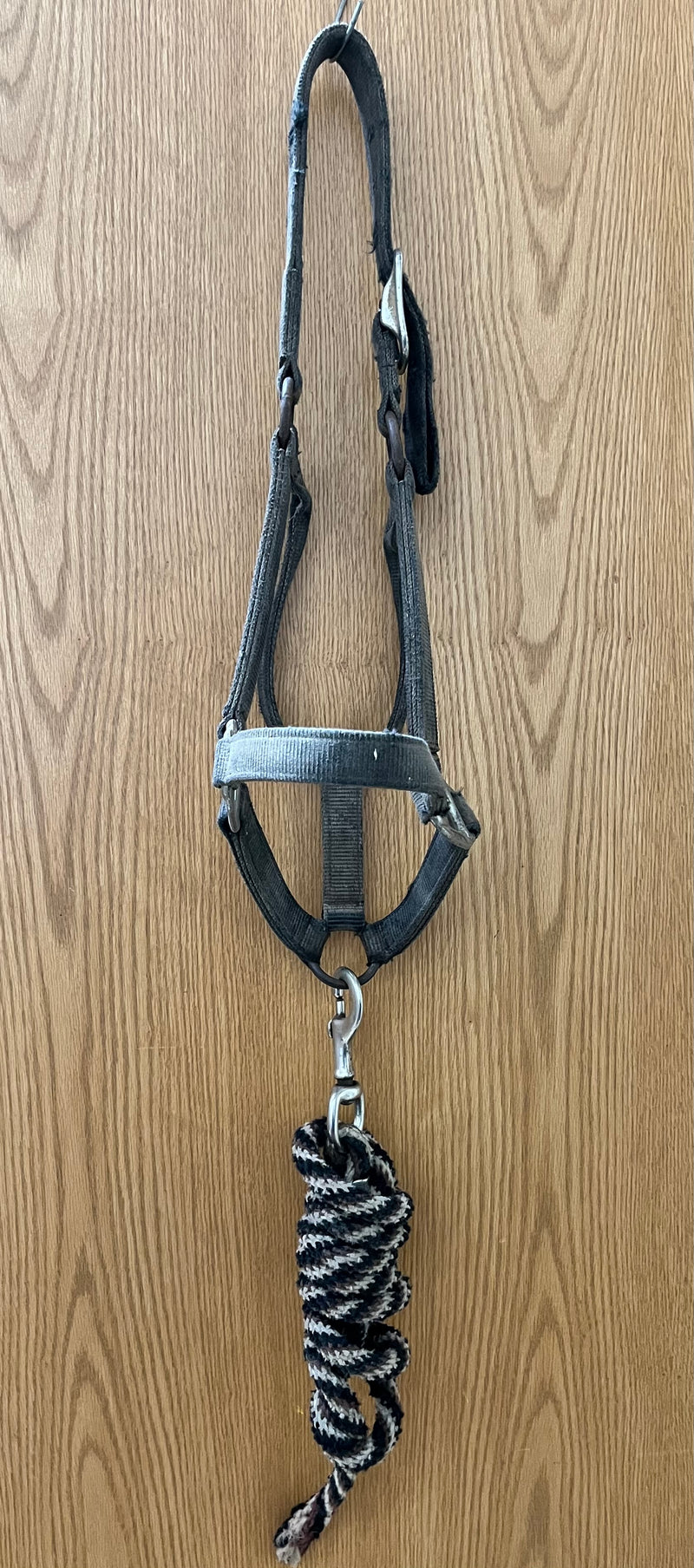 Load image into Gallery viewer, Used Nylon Halter &amp; Lead - Black/White/Black
