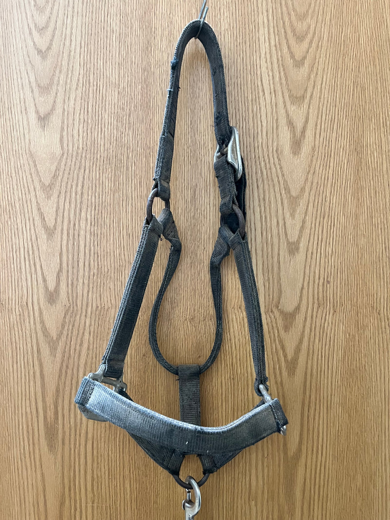 Load image into Gallery viewer, Used Nylon Halter &amp; Lead - Black/White/Black
