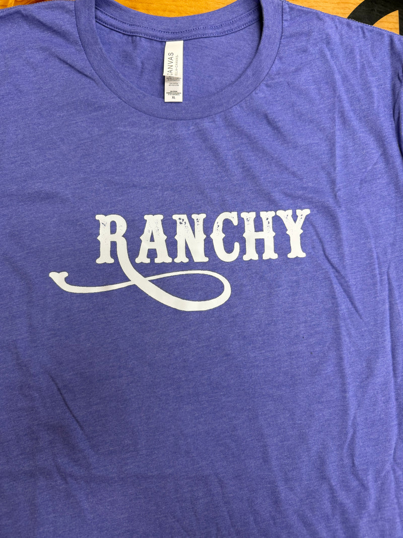 Load image into Gallery viewer, Diamond B Ranchy Graphic Tee Shirt - Purple

