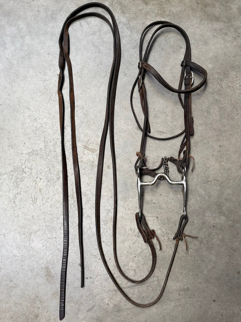 Load image into Gallery viewer, Used Bridle Set - Browband, Solid Port Bit, Split Reins

