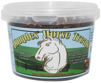 Dimples Horse Treats